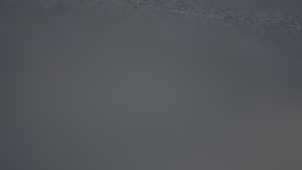 C6663